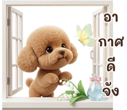 ลายที่ 45