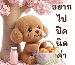 ลายที่ 49