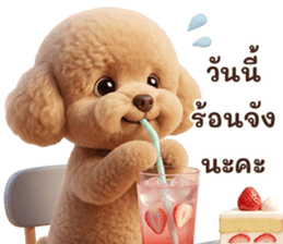 ลายที่ 51