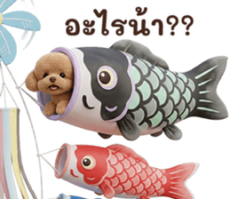 ลายที่ 71