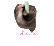 835540982