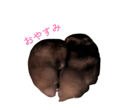 835540983
