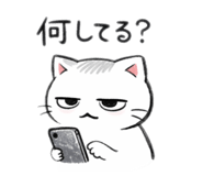 835542507