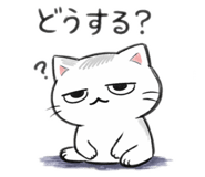 835542512