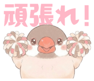 835548503