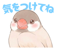 835548504