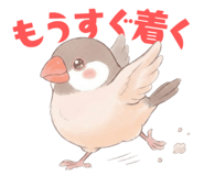 835548519