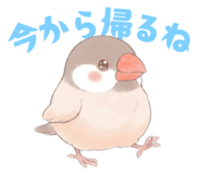 835548520