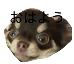 835549401
