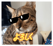 835550229