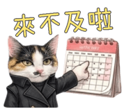835552053