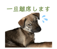 835553225