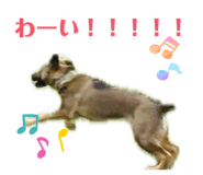 835553228