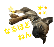 835553235