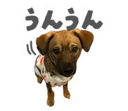 835553237
