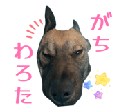 835553238