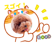 835560126