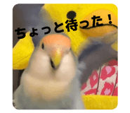 835561131