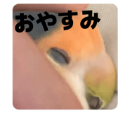 835561134