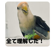 835561135