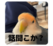 835561136