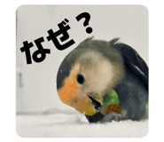 835561137