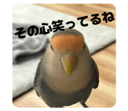 835561138