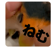 835561143