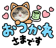 835565311