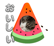 835565333