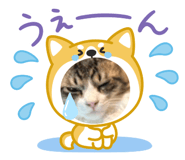 835565336