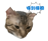 835566745