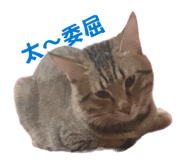 835566746