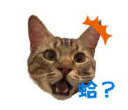 835566747