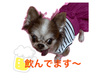 835568241