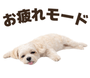835573598