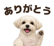 835573601