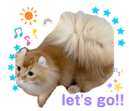 835575697