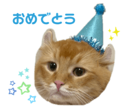 835575699