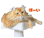 835575701