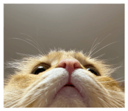 835575702