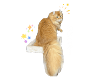 835575708