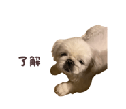 835576737
