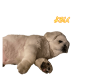 835576739
