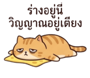 835582137