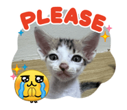 835584392
