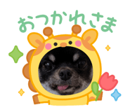 835590003