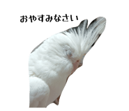 835591514