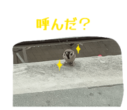 835591521