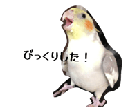 835591526